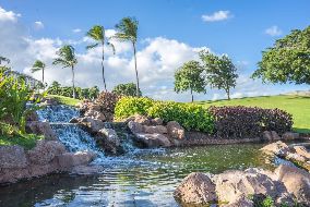 Hawaii natuur